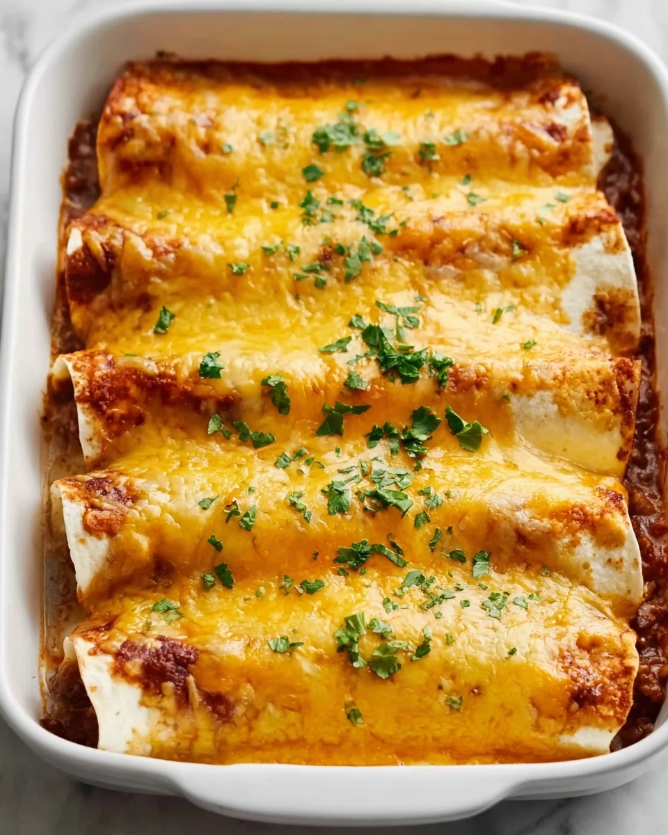 Beef Enchiladas Recipe - Recipe Image