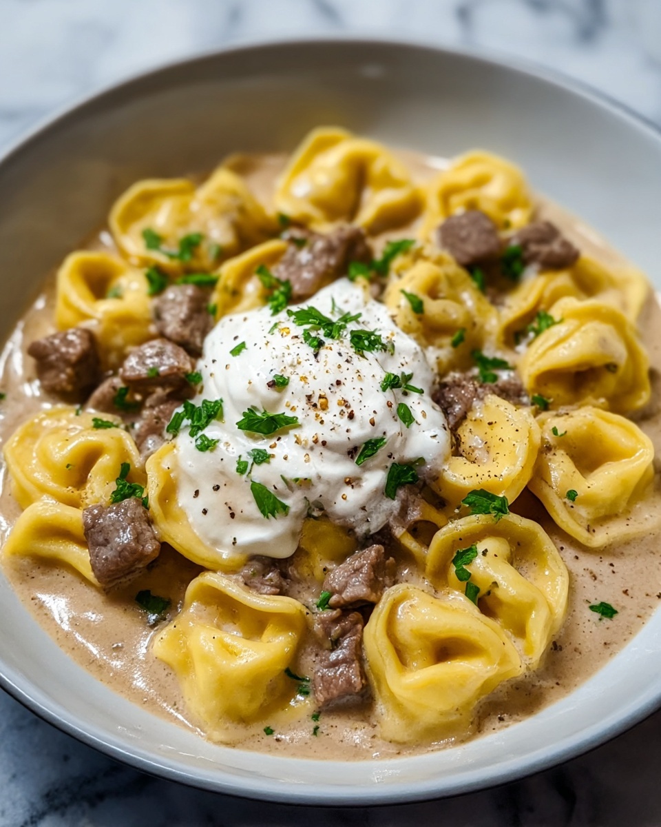 One-Skillet Beef Stroganoff Tortellini Recipe - Recipe Image