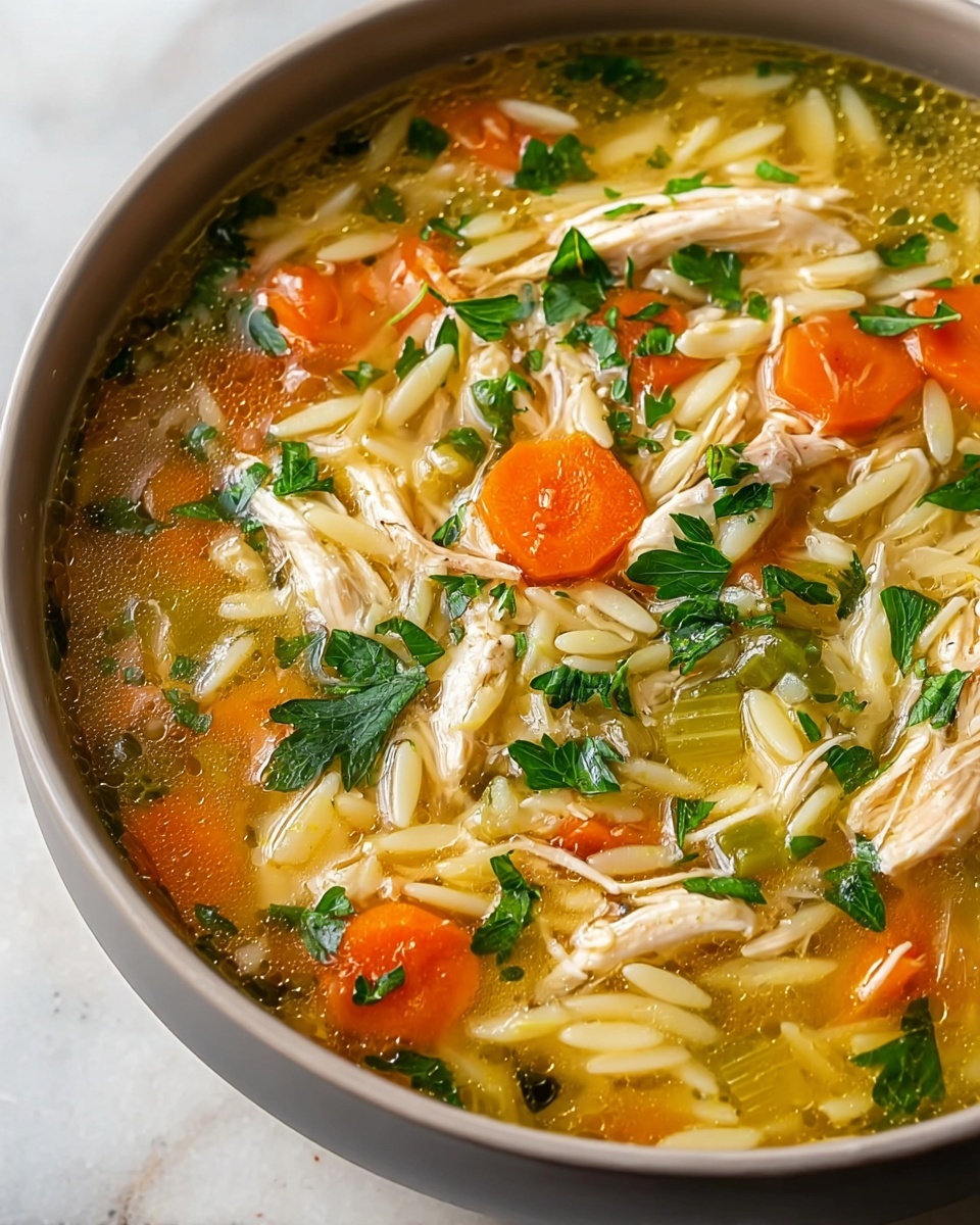 One Pot Lemon Chicken Orzo Soup Recipe - Recipe Image