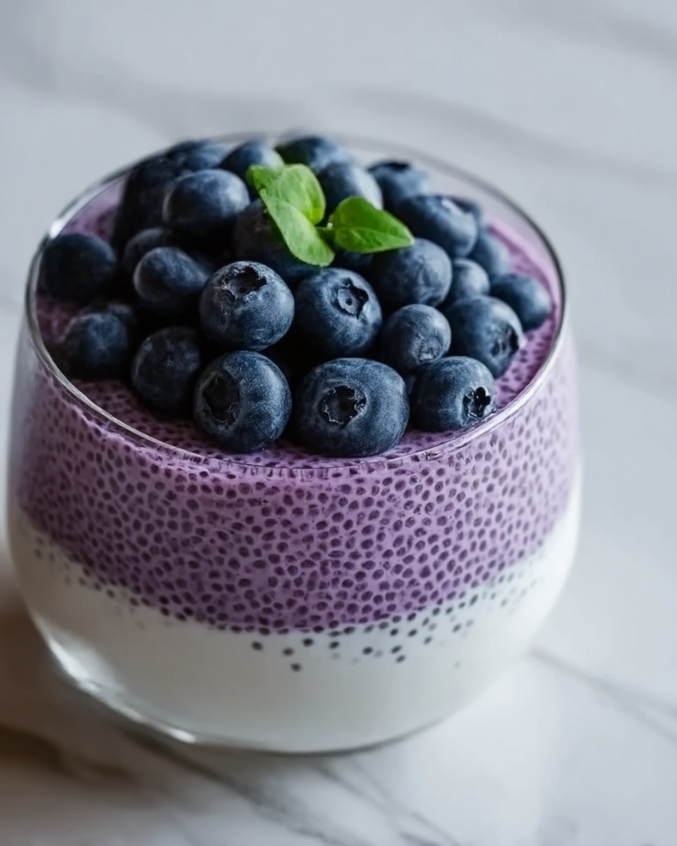 Blueberry Chia Seed Pudding Recipe - Recipe Image