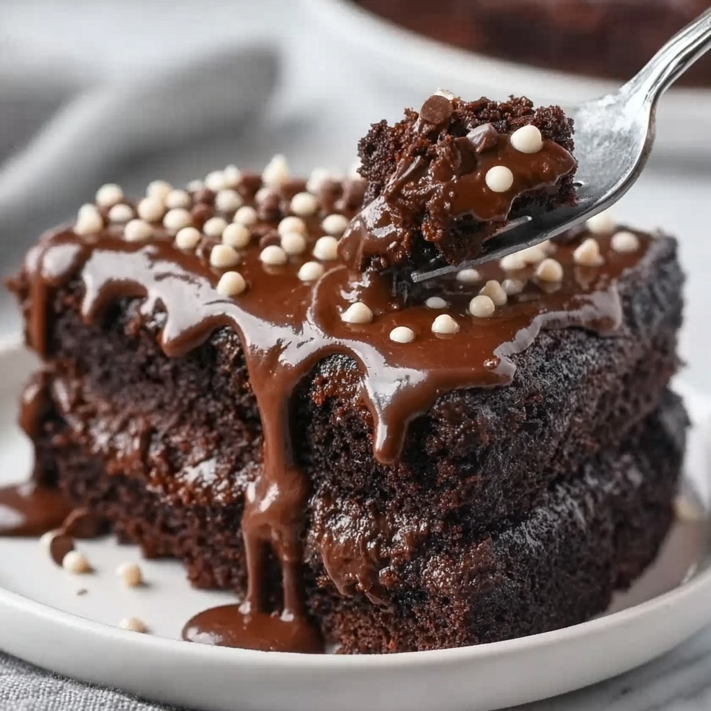 Slow Cooker Double Chocolate Peanut Butter Pudding Cake Recipe - Recipe Image