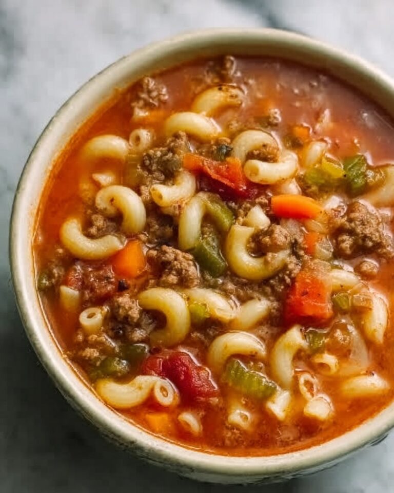 Beef & Tomato Macaroni Soup Recipe