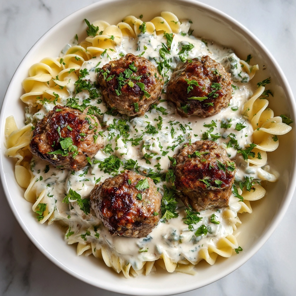 Swedish Meatball Soup Recipe - Recipe Image